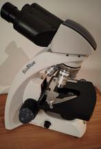 Euromex BioBlue BB.4260 microscoop, Ophalen, Gebruikt