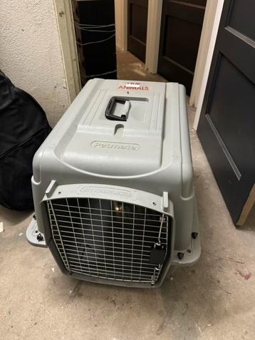 Petmate Sky Kennel Ultra