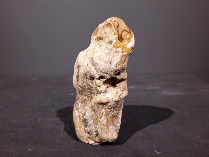 Versteend Hout, 0,9kg, 6,- euro bij kunstgalerie Arnold., Verzamelen, Mineralen en Fossielen, Mineraal, Ophalen