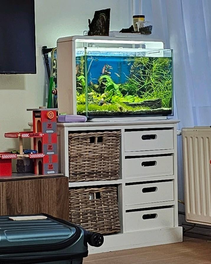 Superfish Home 60 compleet aquarium., Gebruikt, Inclusief vissen, Ophalen of Verzenden, Gevuld zoetwateraquarium