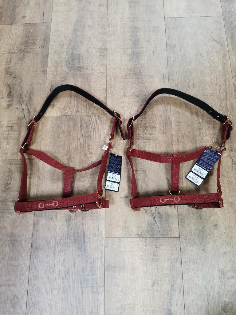 HarrysHorse halster bordeaux maat cob en full verkrijgbaar, Dieren en Toebehoren, Eu, Ophalen of Verzenden, Eu, Harryshorse