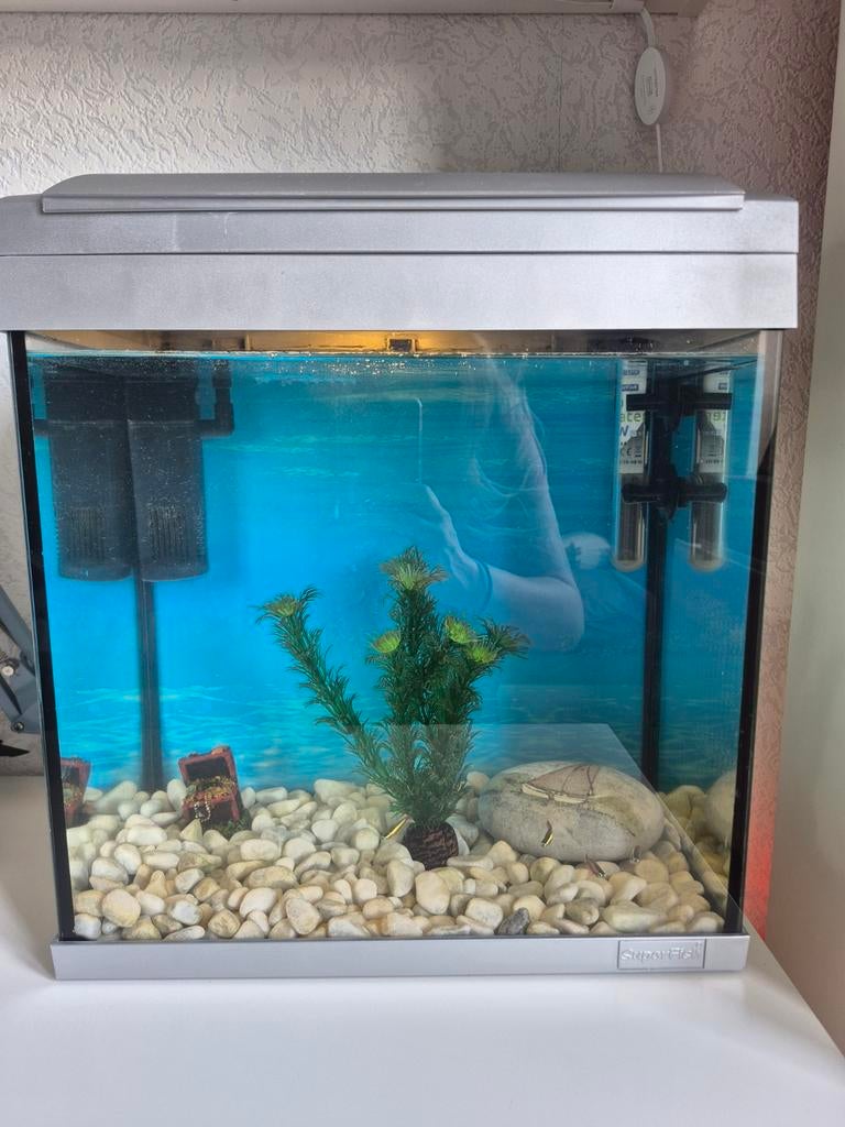 Aquarium, Dieren en Toebehoren, Ophalen, Inclusief vissen, Gebruikt, Decoratie
