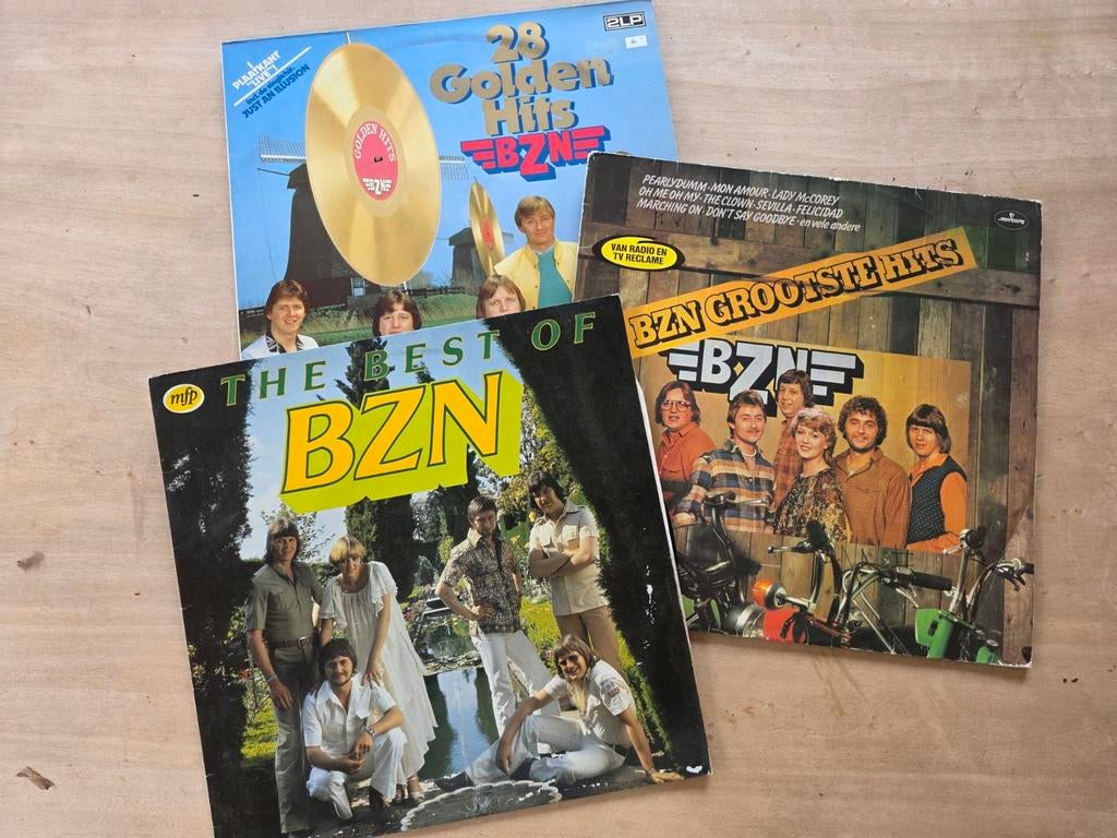 BZN, Ophalen of Verzenden, Gebruikt, 12 inch