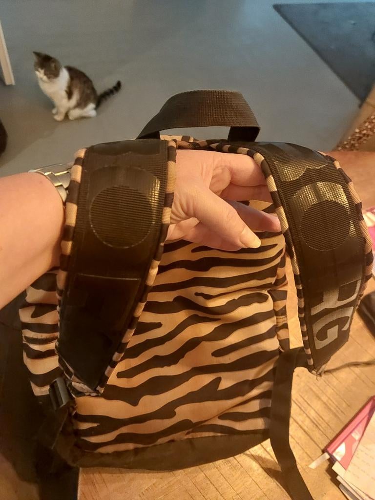 Bjorn born rugzak, Sieraden, Tassen en Uiterlijk, Tassen | Rugtassen, Ophalen of Verzenden, Overige merken