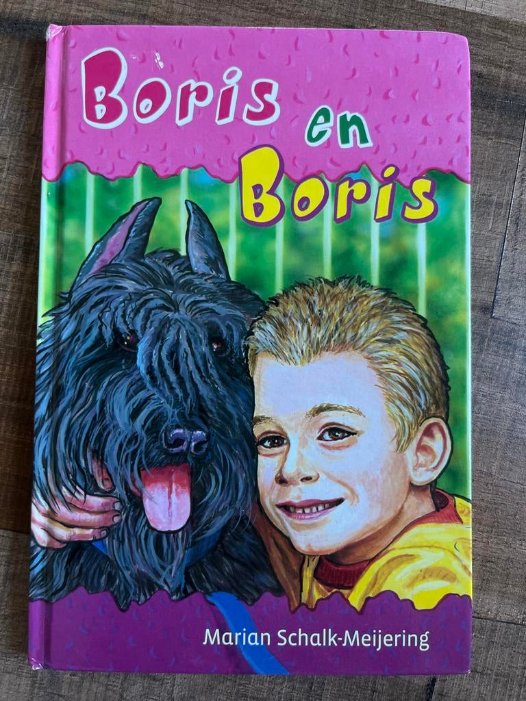 Boris en Boris - Marian Schalk-Meijering, Ophalen of Verzenden, Gelezen, Fictie algemeen