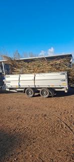 Gratis. Wilgen tenen takken gratis thuis bezorgd, Ophalen