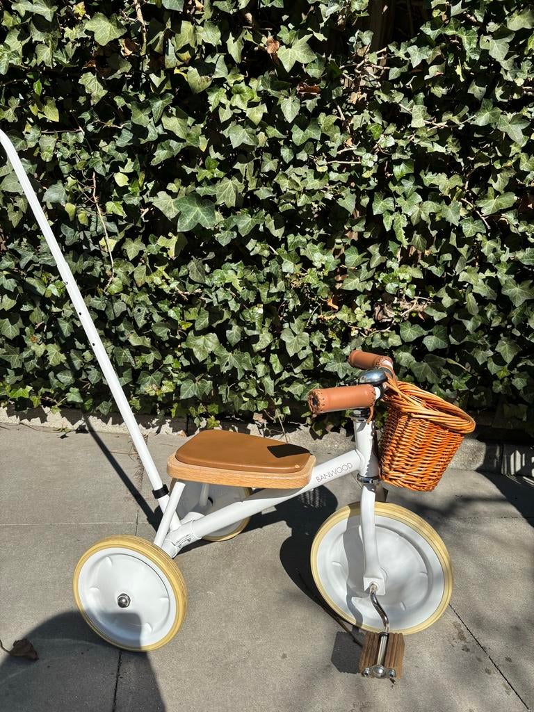 Banwood Driewieler met Duwstang en Mandje, Ophalen, Zo goed als nieuw