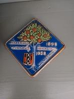 Koningin WILHELMINA 40 jarig regeerings jubileum, Antiek en Kunst, Antiek | Wandborden en Tegels, Ophalen of Verzenden