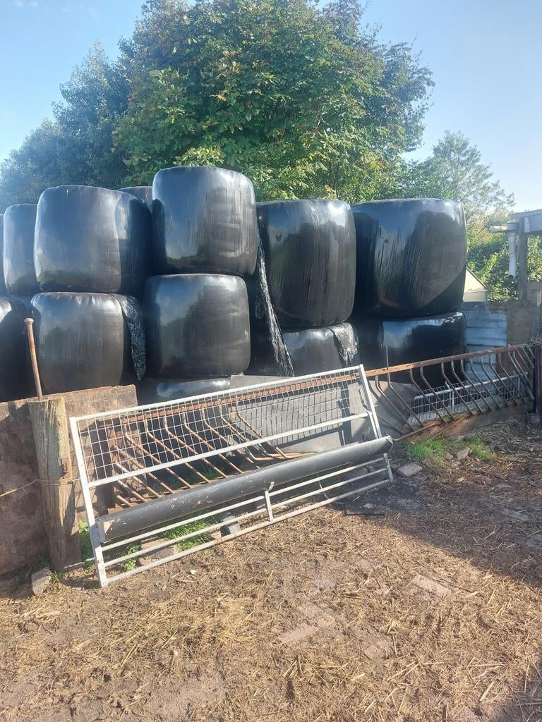 Balen hooi en kuilgras., Ophalen of Verzenden, Vee