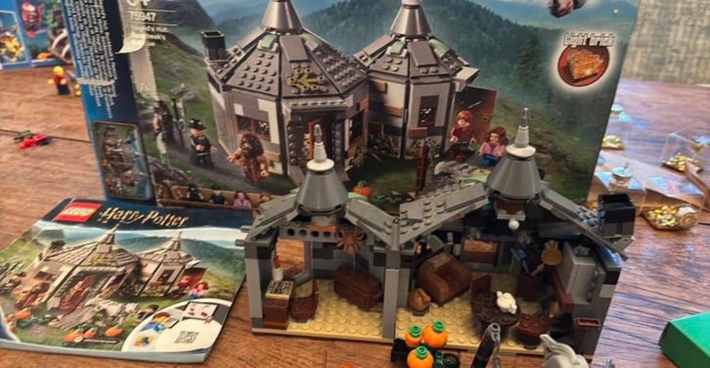 LEGO Harry Potter 75947 Hagrid's Hut - compleet op 1 minifig, Kinderen en Baby's, Speelgoed | Duplo en Lego, Gebruikt, Lego, Harry Potter