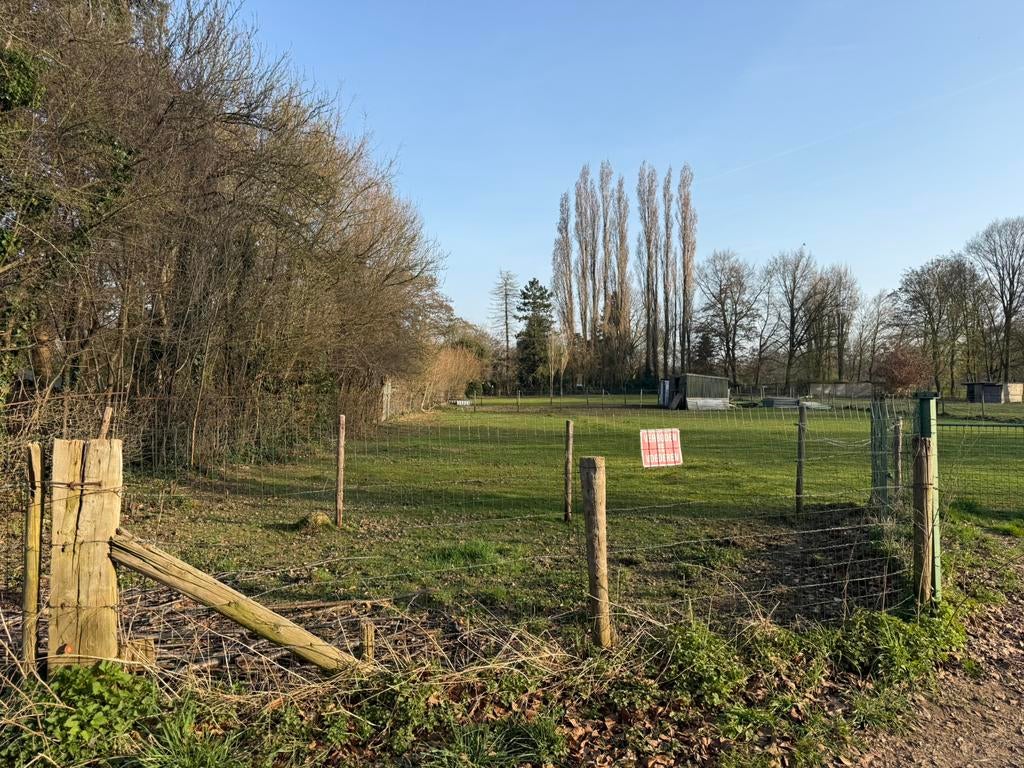 Weide met stal omgeving beek te huur., Dieren en Toebehoren, Stalling en Weidegang