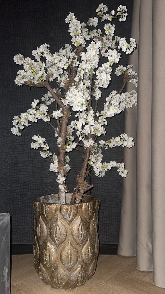 Bloesemboom / bloesem boom in gouden bloempot, Ophalen, Zo goed als nieuw