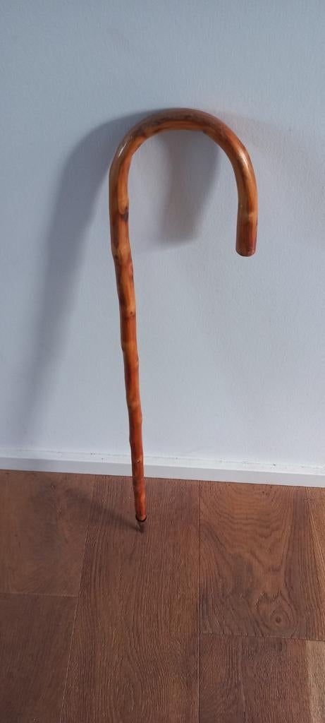 Wandelstok met punt, Ophalen of Verzenden