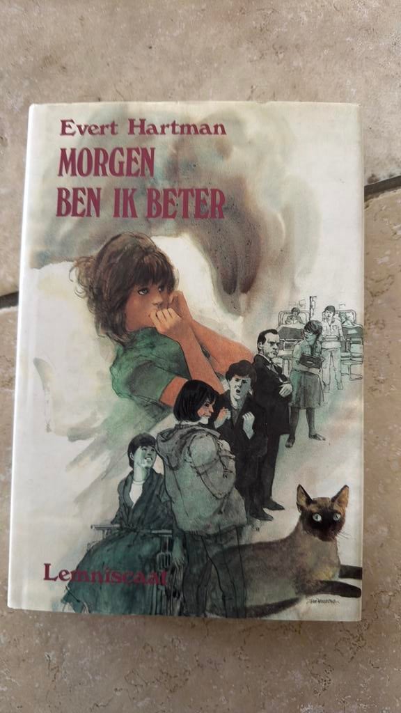 Evert Hartman - Morgen ben ik beter, Boeken, Kinderboeken | Jeugd | onder 10 jaar, Zo goed als nieuw, Fictie algemeen, Ophalen of Verzenden