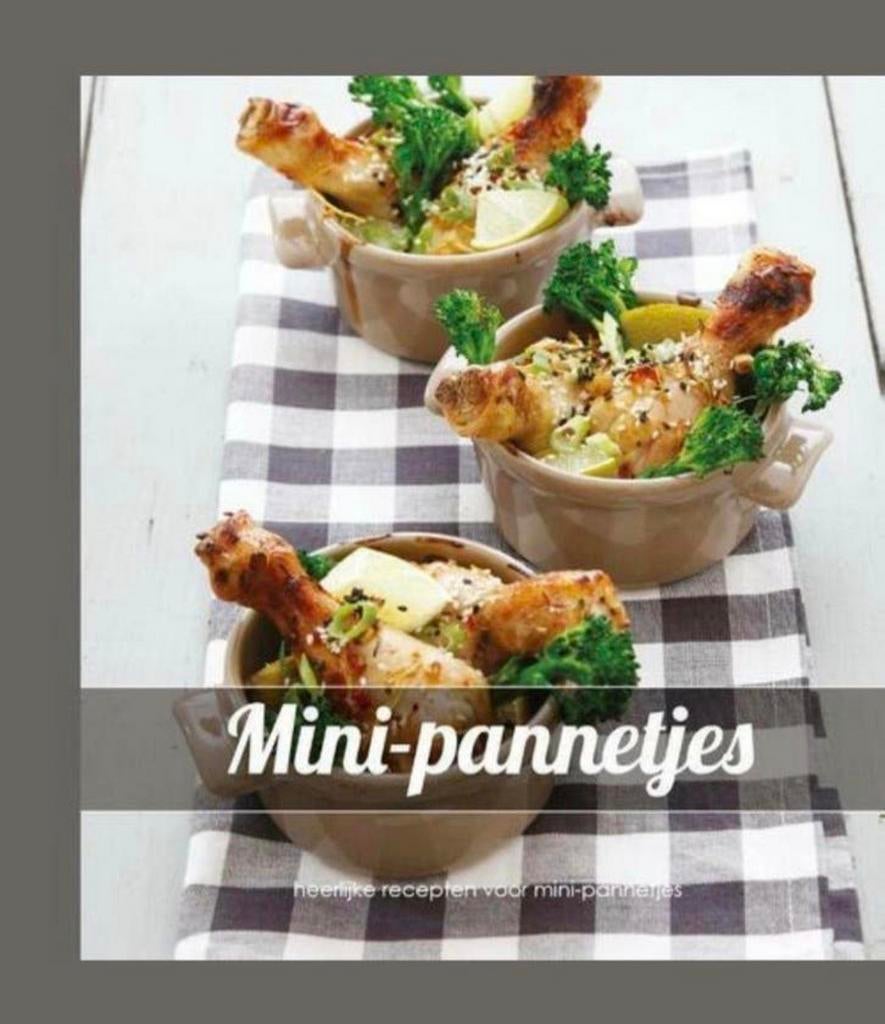 Mini-pannetjes - Aram van Beek, Boeken, Kookboeken, Zo goed als nieuw, Verzenden