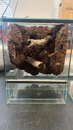 terrarium 30x30x40cm + 3d achtergrond!, Ophalen, Nieuw, Terrarium of Paludarium