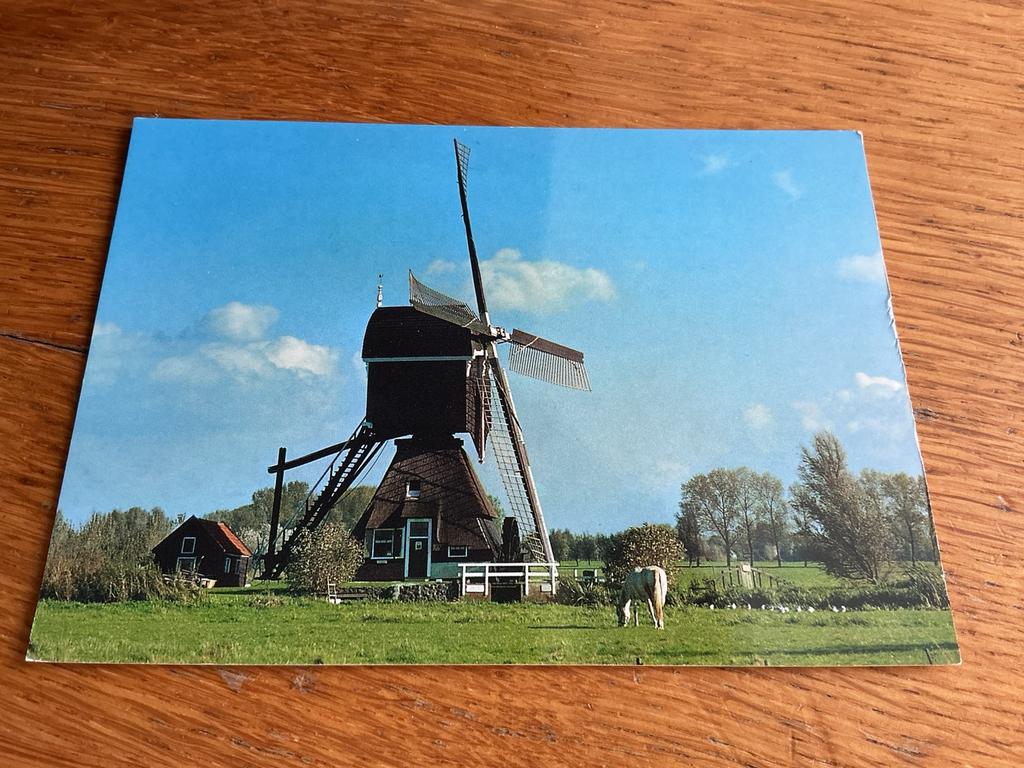 1169 molen Hoornaar, Verzamelen, Ansichtkaarten | Nederland, Ophalen of Verzenden
