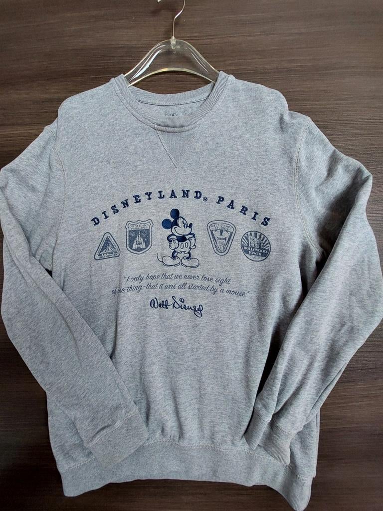 Disney Disneyland Parijs sweater grijs maat M, Disney, Lange mouw, Grijs, Gedragen