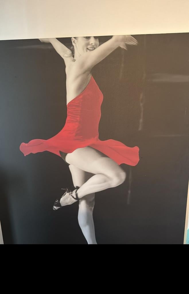 Op canvas danseres van Introdans Arnhem, Ophalen