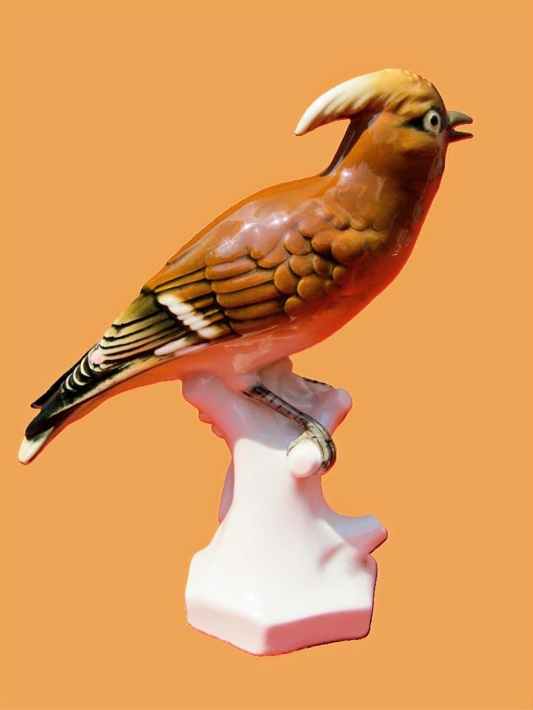 Magnifieke Volkstedt-Rudolstadt vogel., Ophalen