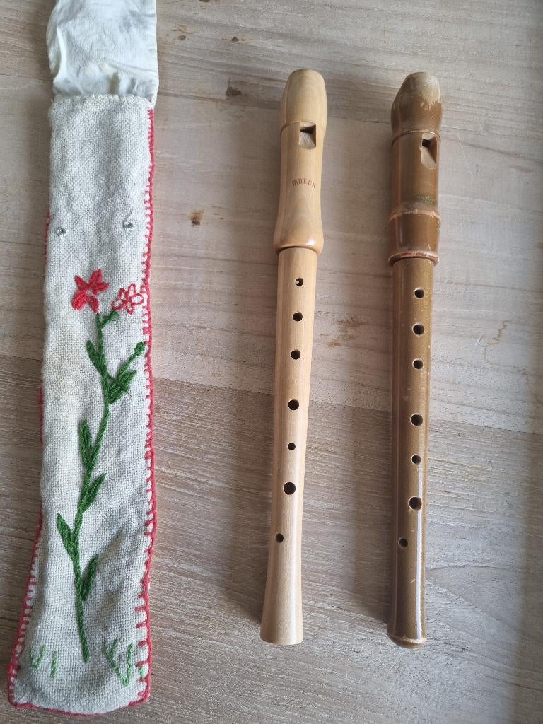 Blokfluit, Muziek en Instrumenten, Blaasinstrumenten | Blokfluiten, Ophalen, Gebruikt, Overige typen