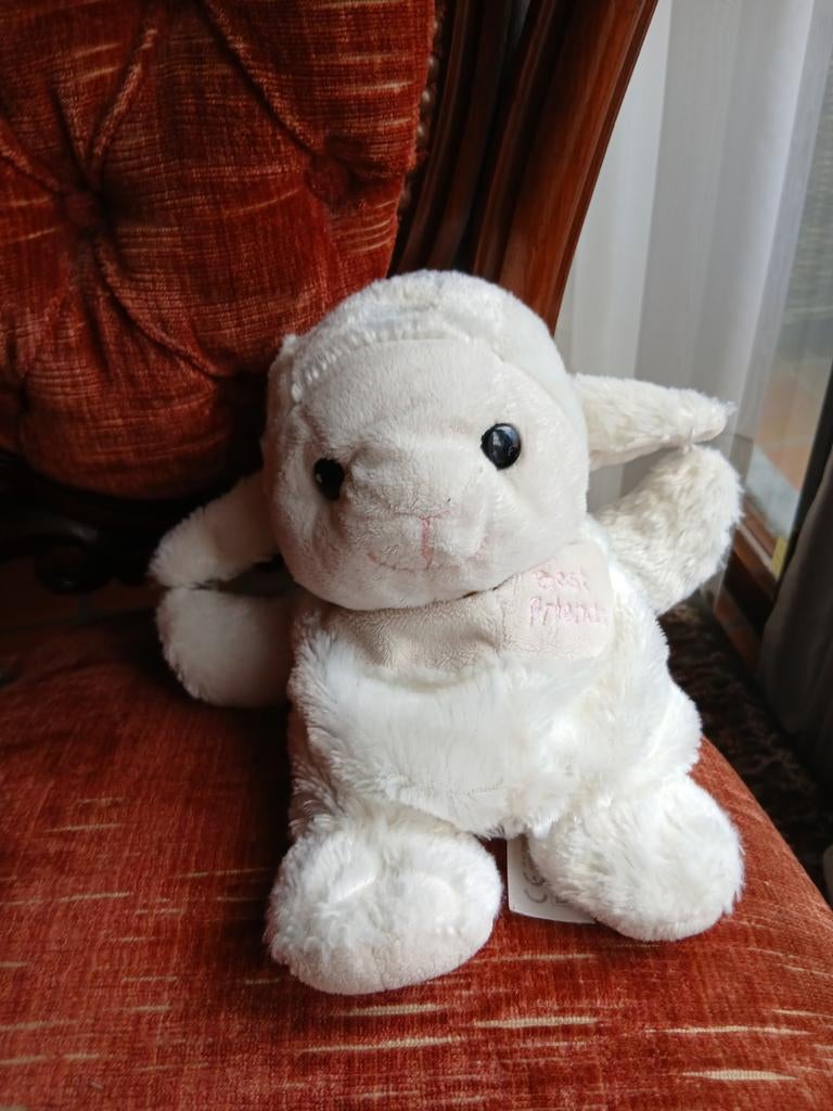 Zachte handpop konijntje mooie staat, Ophalen of Verzenden, Zo goed als nieuw, Konijn