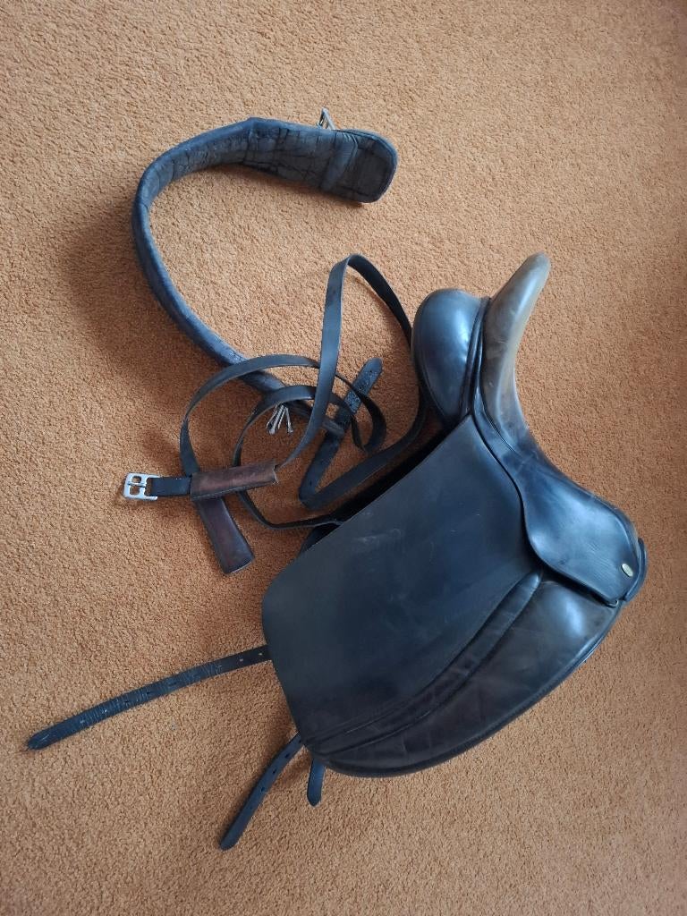 hulsebos zadel, Ophalen, Gebruikt, Dressuur