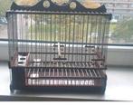 Zangkooi, Ophalen of Verzenden, Nieuw, Hout, Vogelkooi