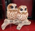 Prachtige Bos Uil NU 15% korting, Ophalen, Nieuw, Overige materialen, Overige typen