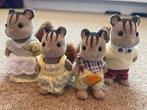 Sylvanian Families Eekhoorn Familie - Compleet Set, Ophalen of Verzenden, Gebruikt, Jongen of Meisje
