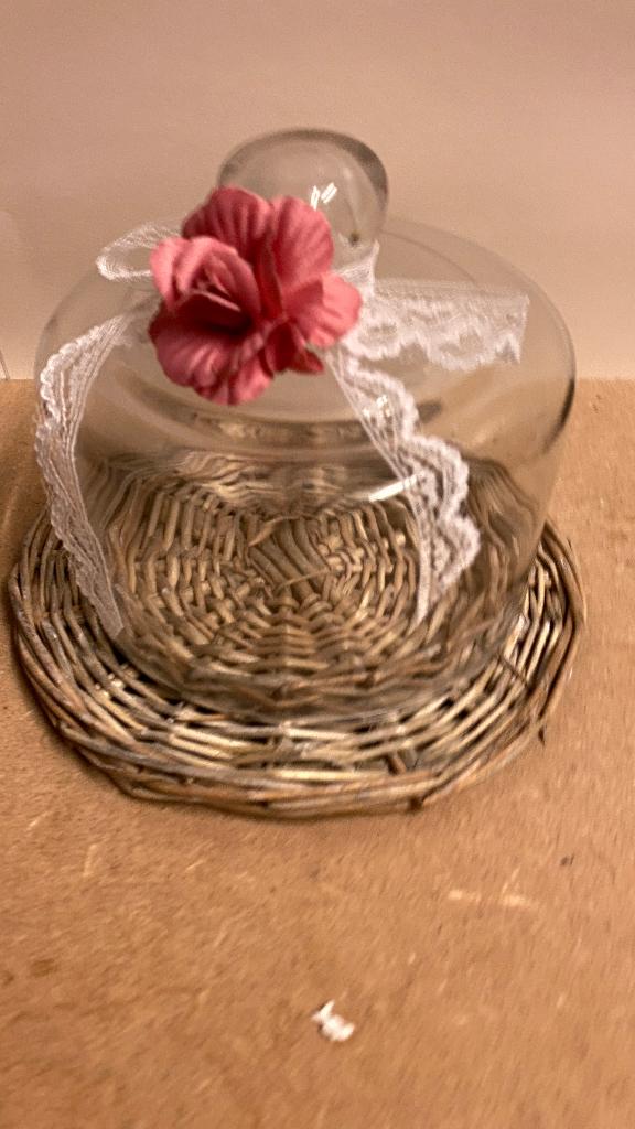 Glase stolp, Huis en Inrichting, Ophalen of Verzenden, Gebruikt