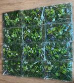 Kunstplant nepplanten kunst nep planten muur wandpanelen, Ophalen of Verzenden, Buiten