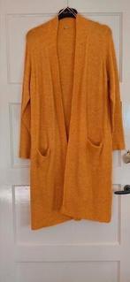 Mooi, lang vest met zakken, Ophalen of Verzenden, Zo goed als nieuw