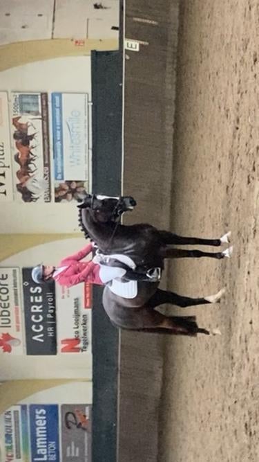 2 bijrijders gezocht voor 2 paarden, Ophalen of Verzenden