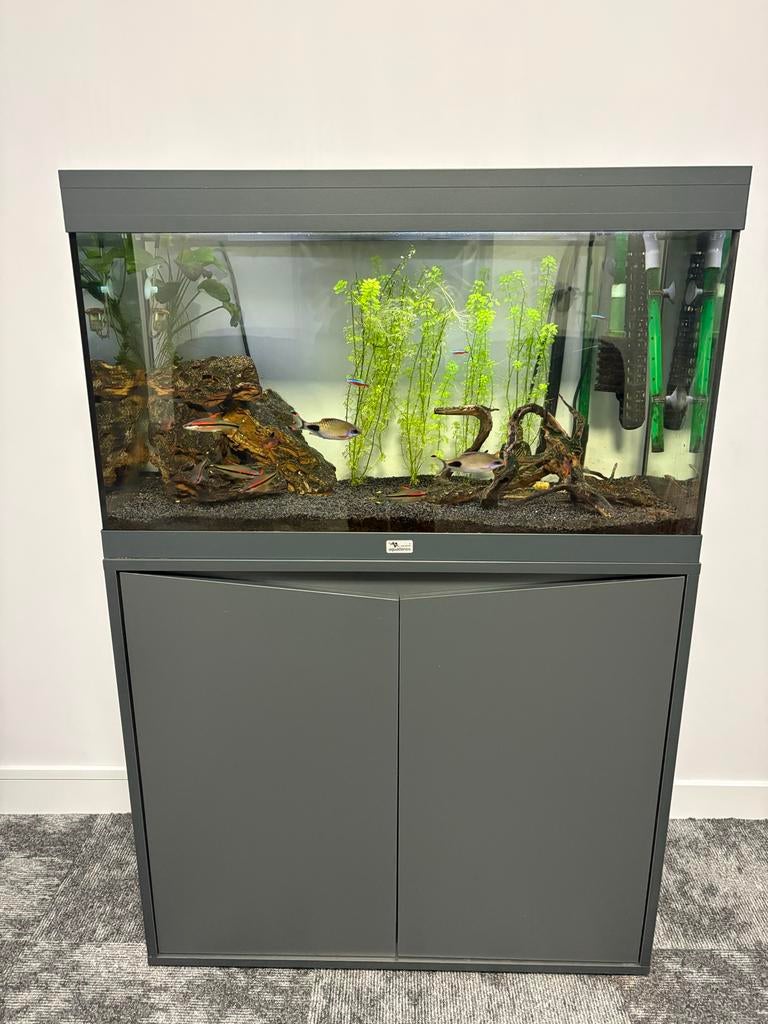 Aquarium, Dieren en Toebehoren, Vissen | Aquaria en Toebehoren, Ophalen, Zo goed als nieuw, Gevuld zoetwateraquarium