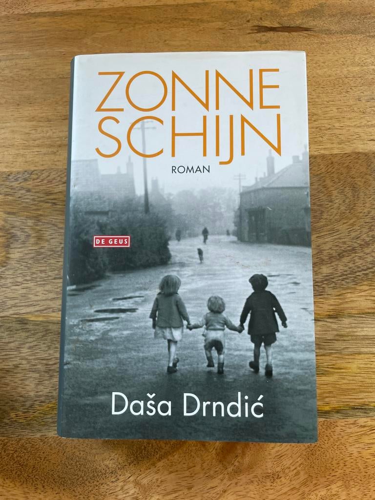 Zonneschijn - Daša Drndić (Roman), Ophalen of Verzenden, Gelezen, Europa overig