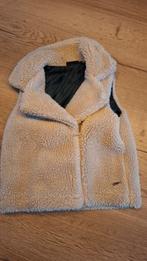 Leuke warme bodywarmer Persival maat 152, Persival, Jongen of Meisje, Ophalen of Verzenden, Zo goed als nieuw