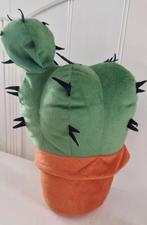 Kaktus, Ophalen of Verzenden, Halfschaduw, Minder dan 100 cm