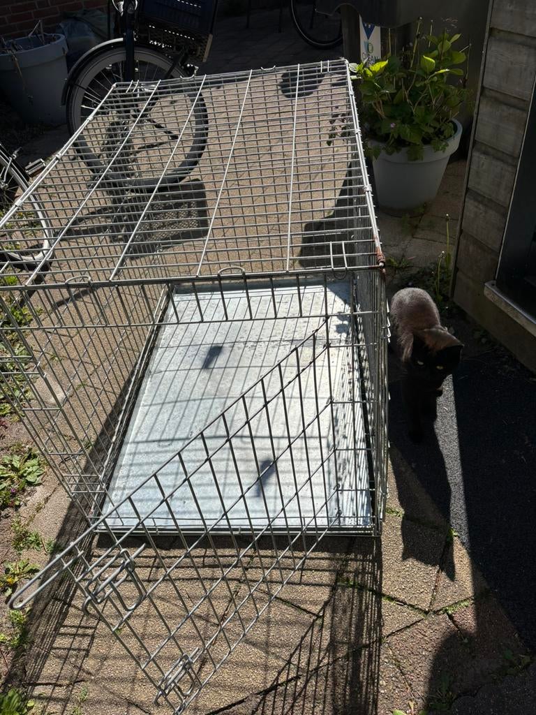 Bench voor katten of dieren, Dieren en Toebehoren, Ophalen, Gebruikt, 65 tot 100 cm, Hondenhok