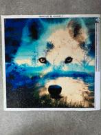 Diamond painting wolf, Ophalen