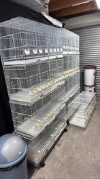 Italiaanse broedkooien kweekkooien, Ophalen, Zo goed als nieuw, Broedkooi of Kweekkooi