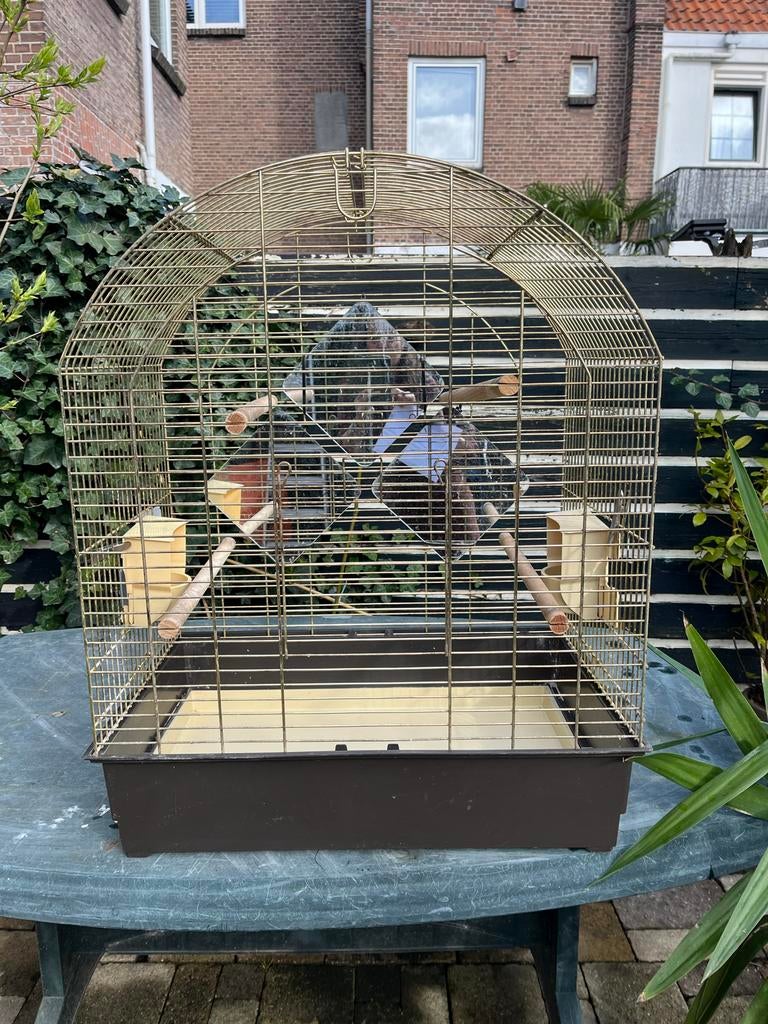Vogelkooi, Ophalen, Gebruikt, Metaal, Vogelkooi
