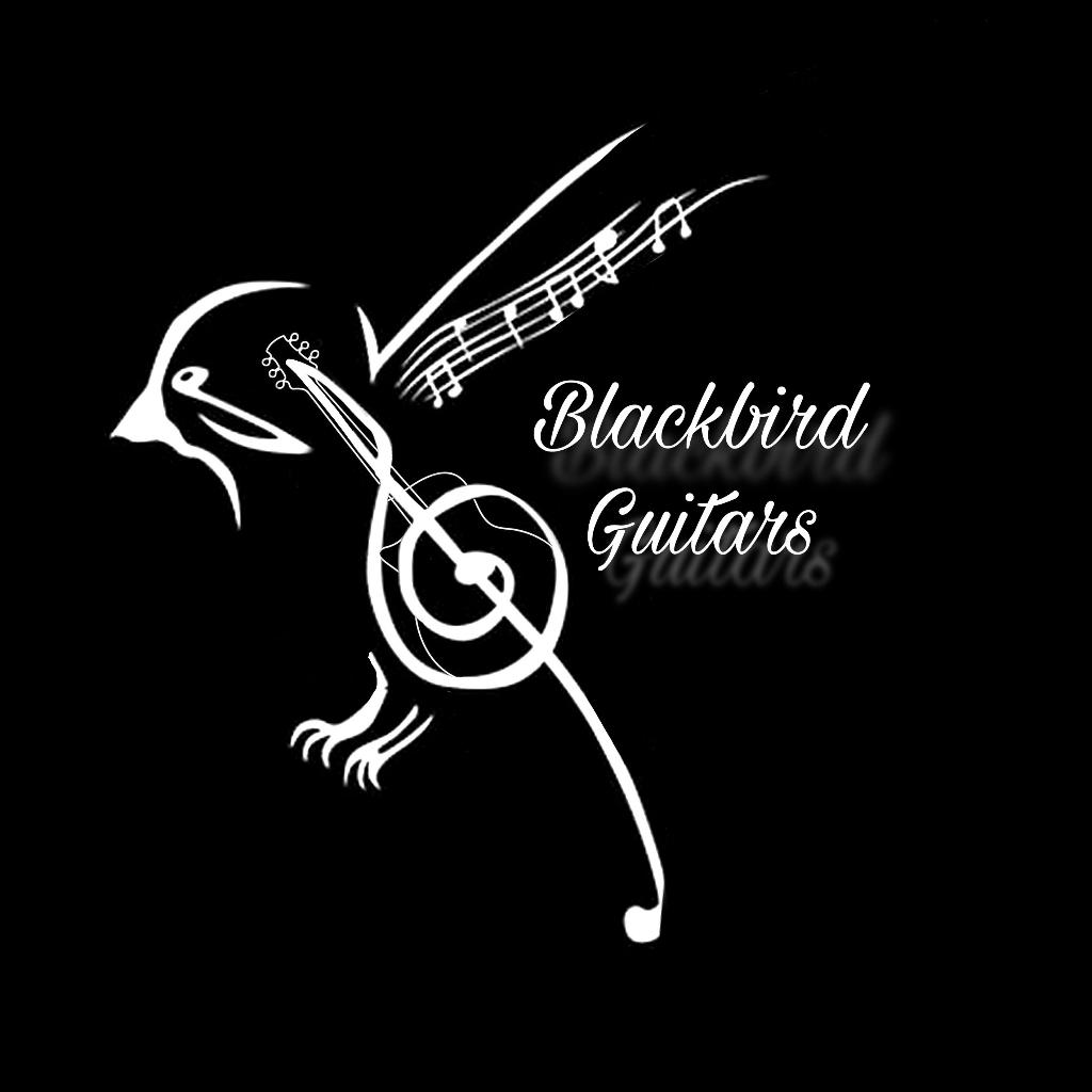 Gitaarles omgeving Oosterwolde (fr)