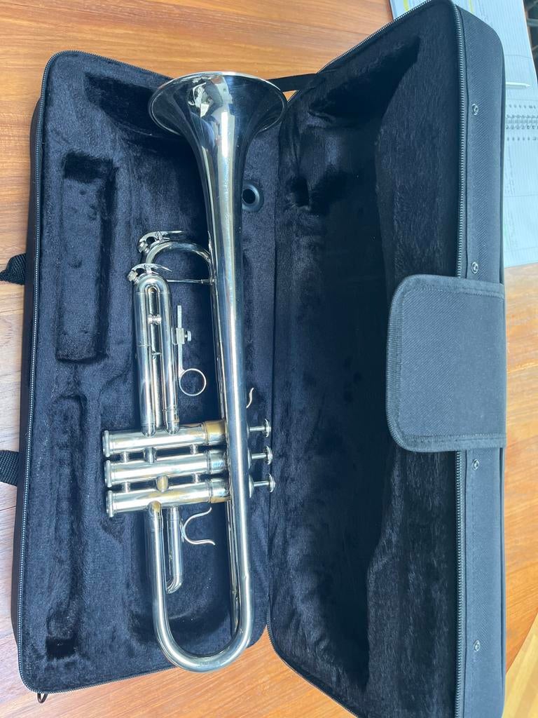 Cherrystone Bes-trompet met koffer, Ophalen of Verzenden, Gebruikt, Bes-trompet, Met koffer