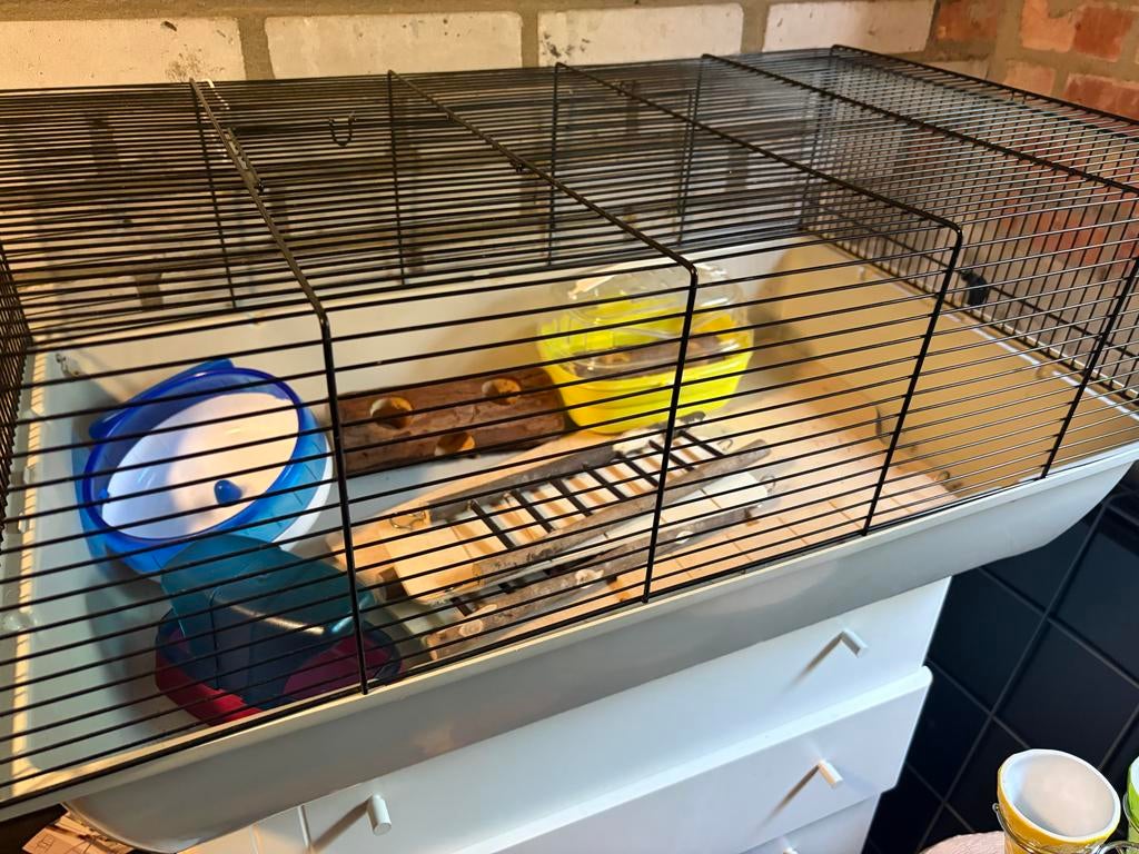 Hamsterkooi met toebehoren, Kooi, Gebruikt, Minder dan 75 cm, Hamster