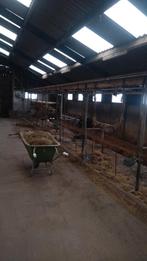 Hangkettingen en drinkbakken uit Hollandse stal, Ophalen