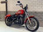 HARLEY-DAVIDSON SPORTSTER ROADSTER XL 883 (bj 2002) 24,999 k, HARLEY-DAVIDSON, Chopper, Bedrijf, Onbekend