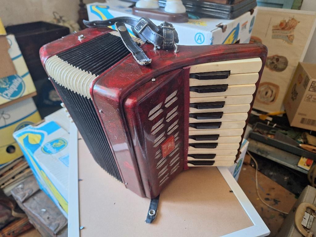 accordeon, Ophalen of Verzenden, Gebruikt, Overige merken
