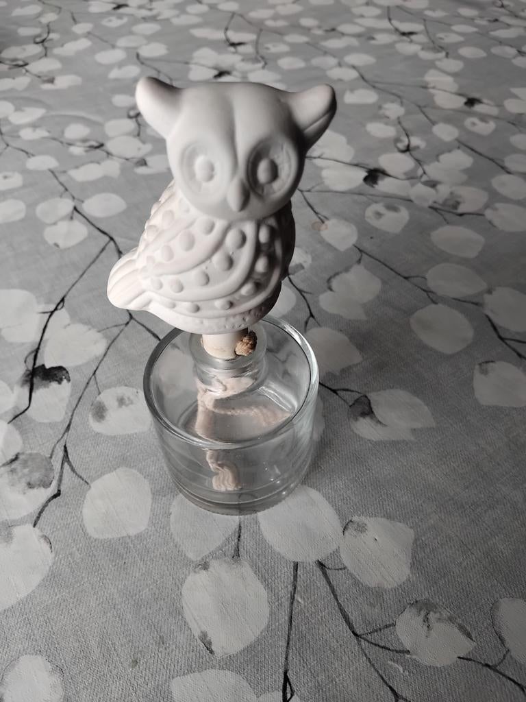 ÉÉN VERZAMELING VAN UILTJES, Ophalen of Verzenden, Zo goed als nieuw, Dier