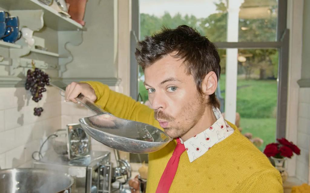 Harry Styles Golden Cirkel Ticket, Tickets en Kaartjes, Concerten | Pop, Eén persoon, Mei